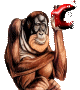 singe-323223323232-3.gif