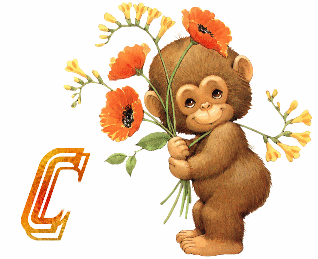 singe9484-3.gif