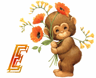 singe9484-5.gif