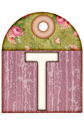sis_t1.png
