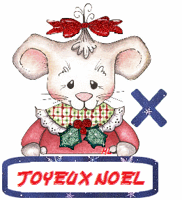 souris-45004504505-24.gif