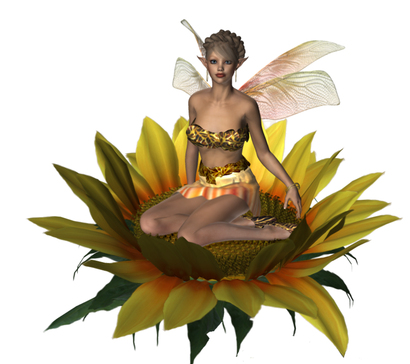 stock___flower_fairy_1_by_jassy2012-d5btyo5.png