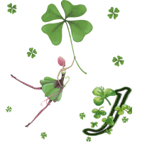 stpat-9090909090909-10.gif