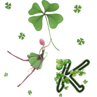stpat-9090909090909-11.gif