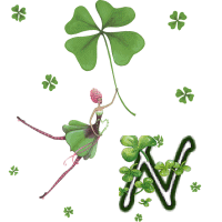 stpat-9090909090909-14.gif