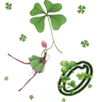 stpat-9090909090909-15.gif