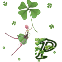 stpat-9090909090909-16.gif