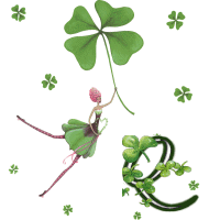 stpat-9090909090909-17.gif