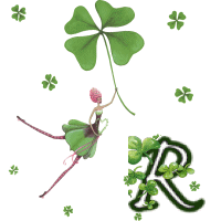 stpat-9090909090909-18.gif