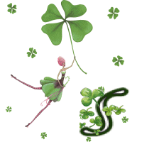 stpat-9090909090909-19.gif