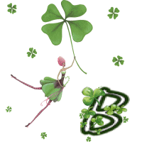 stpat-9090909090909-2.gif