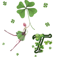 stpat-9090909090909-20.gif