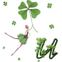 stpat-9090909090909-21.gif