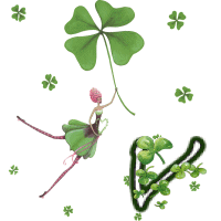 stpat-9090909090909-22.gif