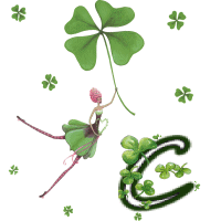 stpat-9090909090909-3.gif