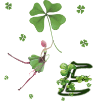 stpat-9090909090909-5.gif