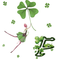 stpat-9090909090909-6.gif