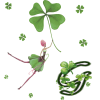 stpat-9090909090909-7.gif