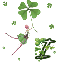 stpat-9090909090909-9.gif