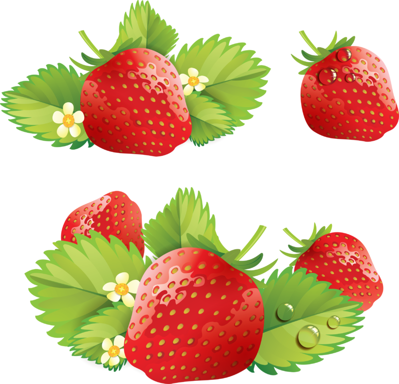 strawberry_PNG2613.png