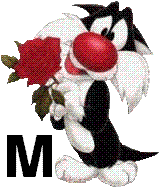 sylvester-55060-13.jpg