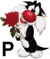 sylvester-55060-16.jpg