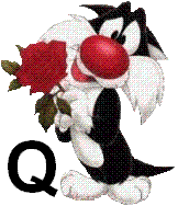 sylvester-55060-17.jpg