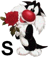 sylvester-55060-19.jpg