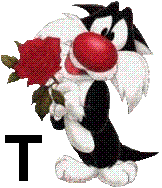 sylvester-55060-20.jpg