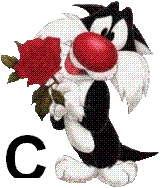 sylvester-55060-3.jpg
