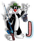 sylvester-767-10.jpg
