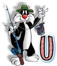 sylvester-767-21.jpg