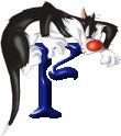 sylvesterf.jpg