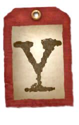 tag_y1.jpg