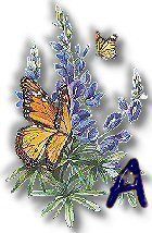 texasbluebonnets-1.jpg