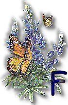 texasbluebonnets-11.jpg