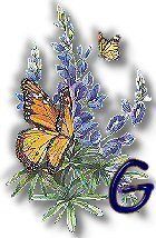 texasbluebonnets-13.jpg