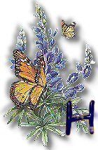 texasbluebonnets-15.jpg