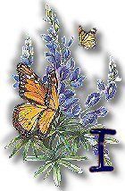 texasbluebonnets-17.jpg