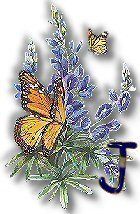 texasbluebonnets-19.jpg