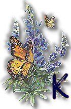 texasbluebonnets-21.jpg