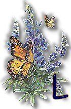 texasbluebonnets-23.jpg