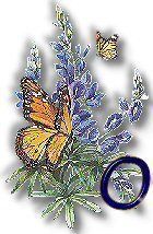 texasbluebonnets-29.jpg