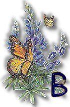 texasbluebonnets-3.jpg