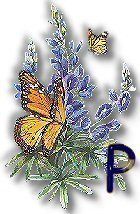 texasbluebonnets-31.jpg