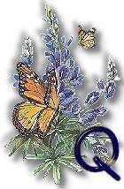 texasbluebonnets-33.jpg