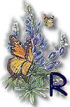 texasbluebonnets-35.jpg