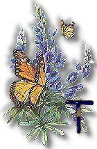 texasbluebonnets-39.jpg