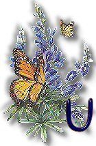 texasbluebonnets-41.jpg