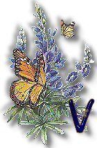 texasbluebonnets-43.jpg